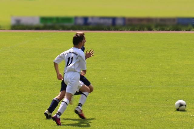 微调队徽的 微调队徽的