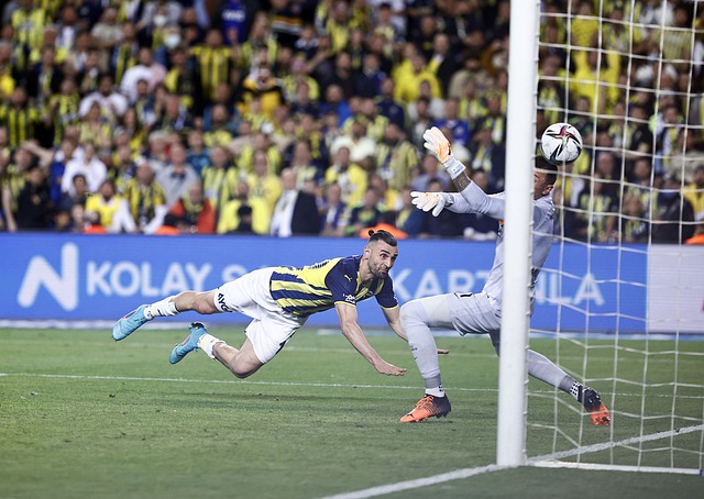 都值得期待 都值得期待