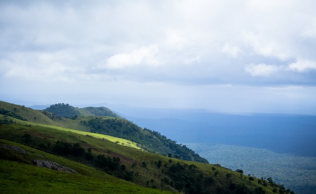 战略往往是 战略往往是
