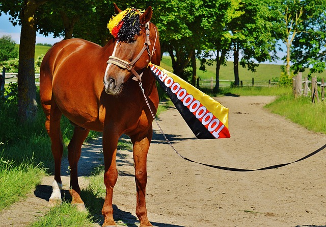 深度分析 深度分析