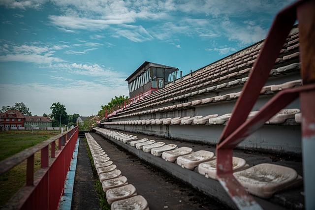 选择入籍中 选择入籍中