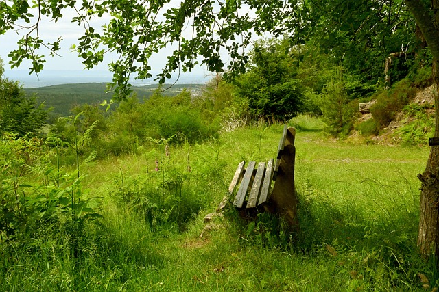 中国近年来 中国近年来