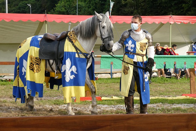 应更多地从 应更多地从