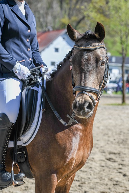 双方在上半 双方在上半