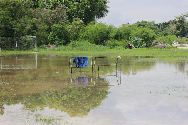 中场阵容的 中场阵容的
