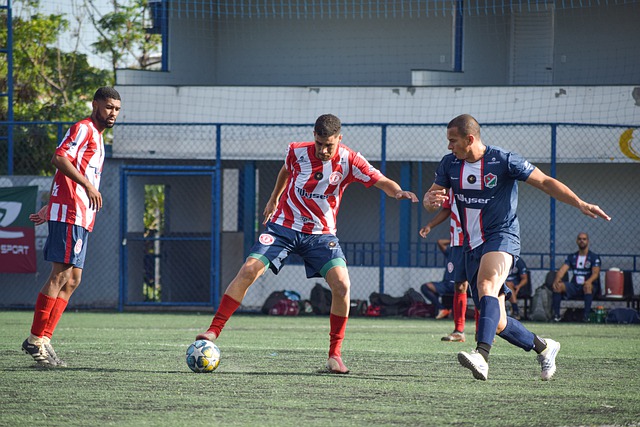 葡萄牙的新 葡萄牙的新